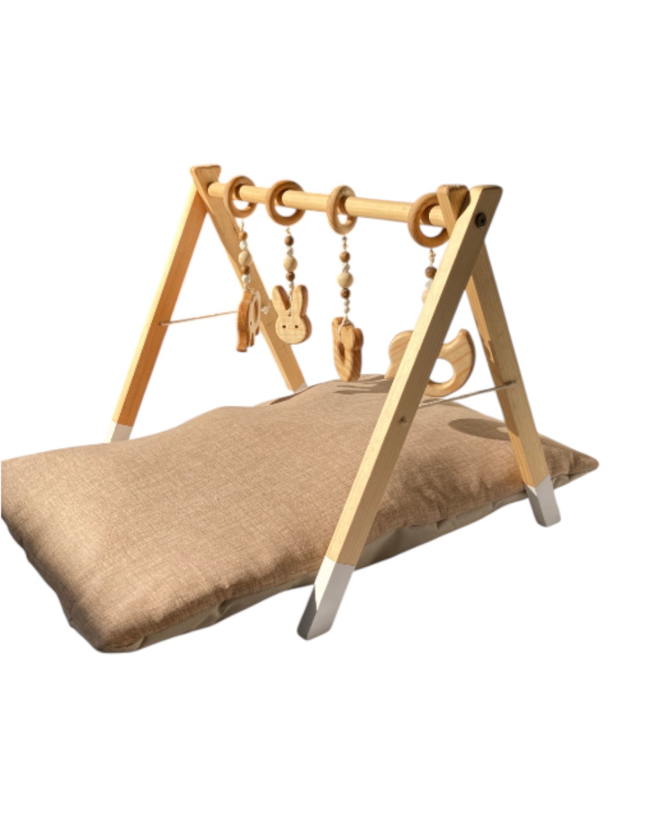 Gimnasio Montessori