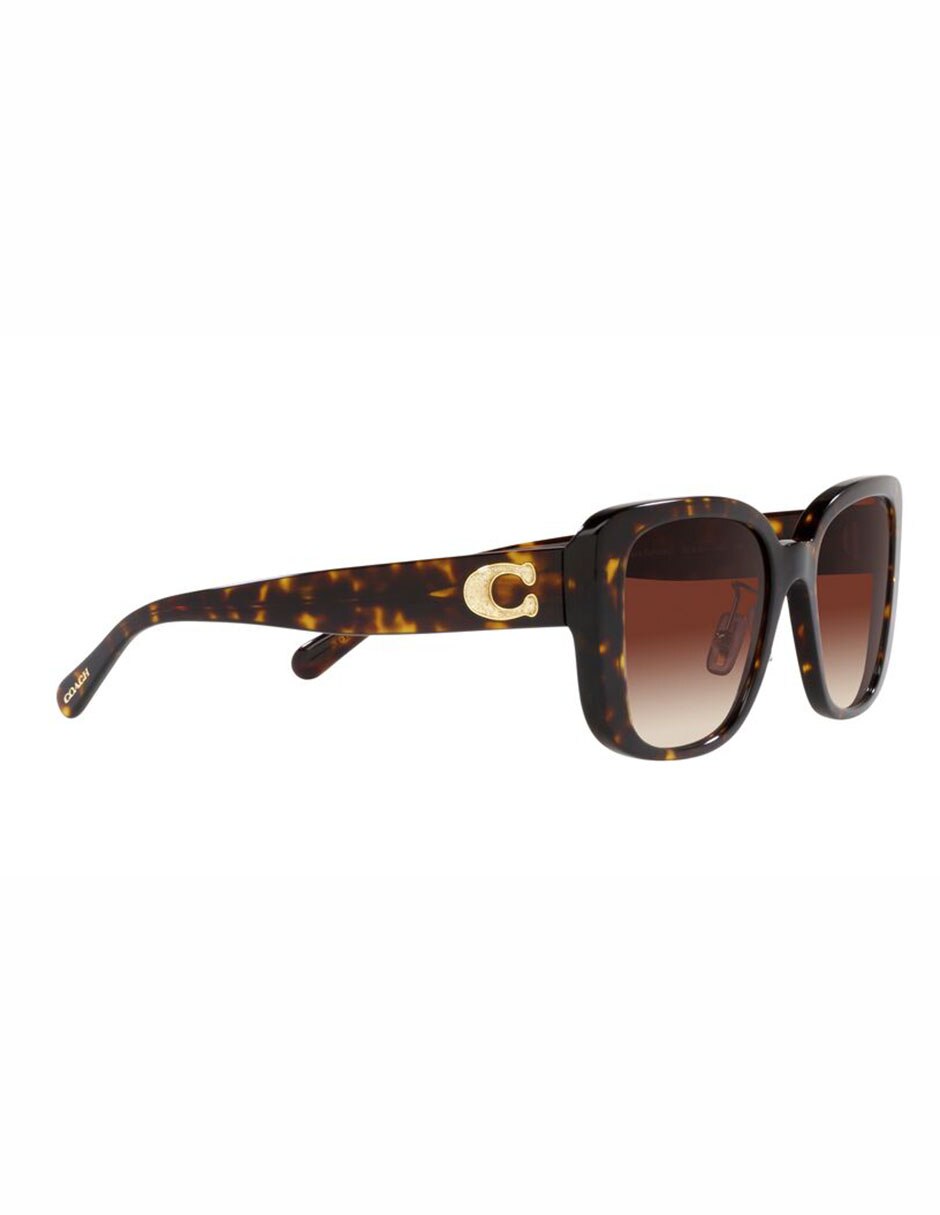 Lentes de sol CD472 para mujer 11