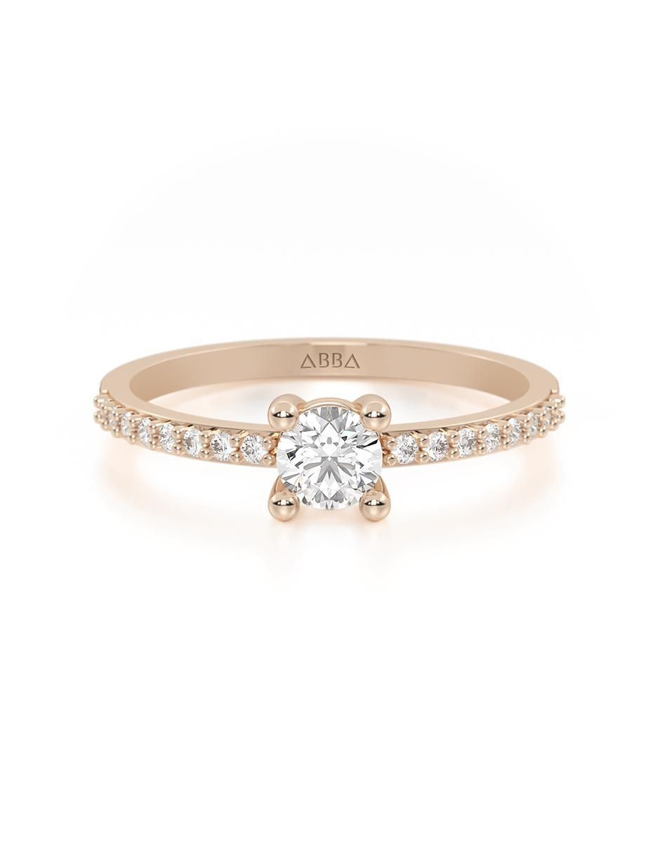 Rosa 3