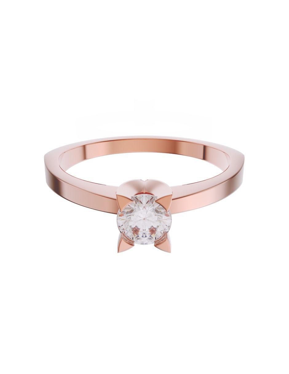 Rosa 3