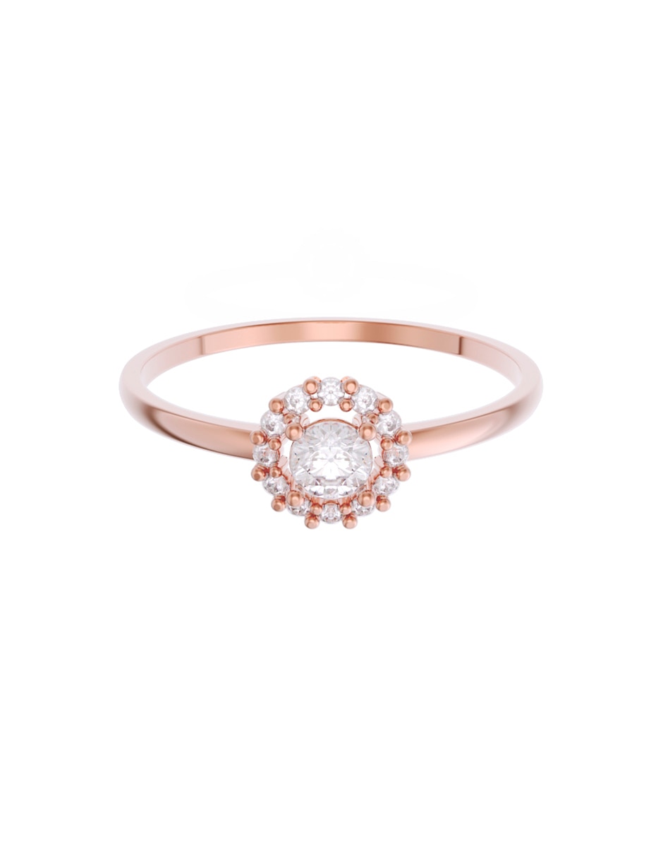 Rosa 3
