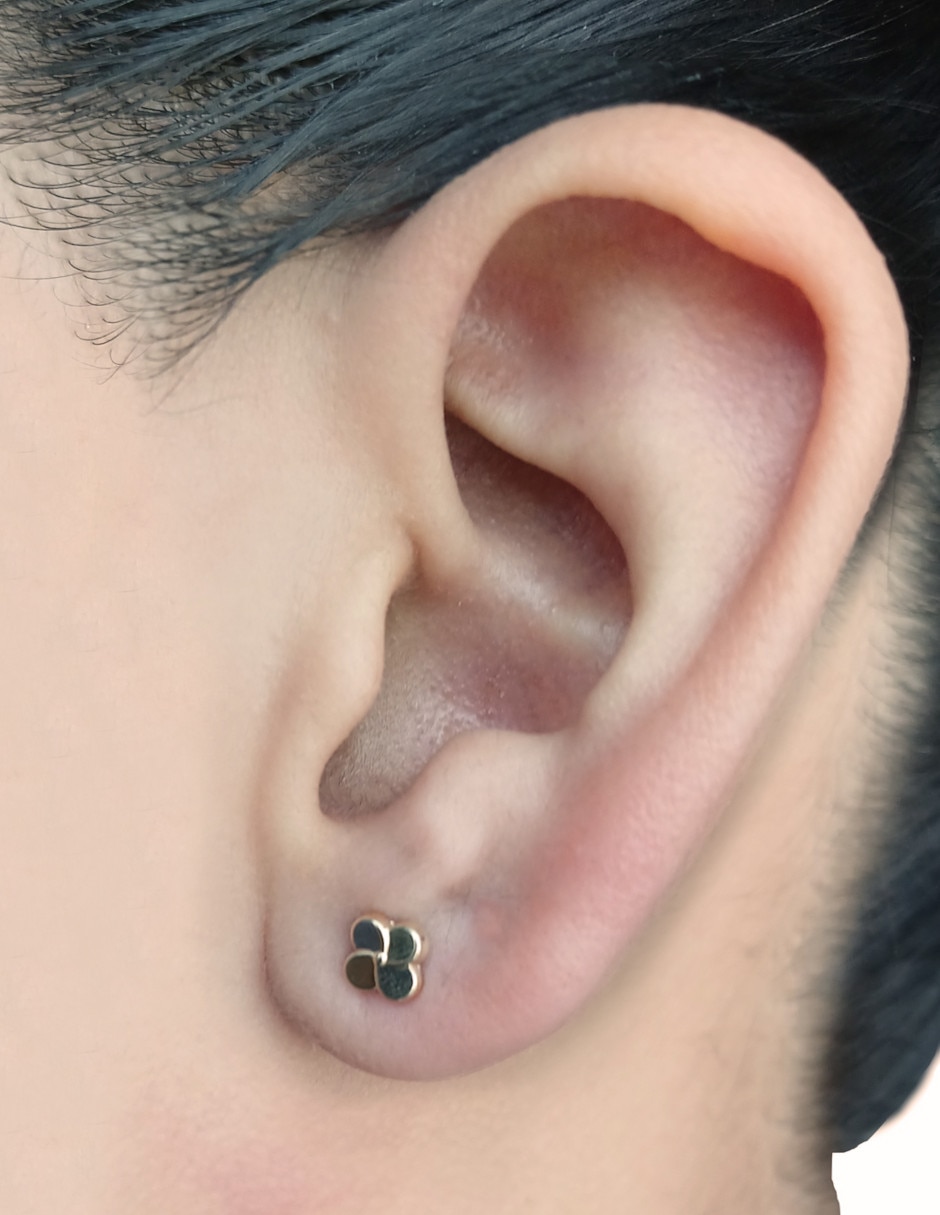 Broqueles de trébol de oro 14 K 3