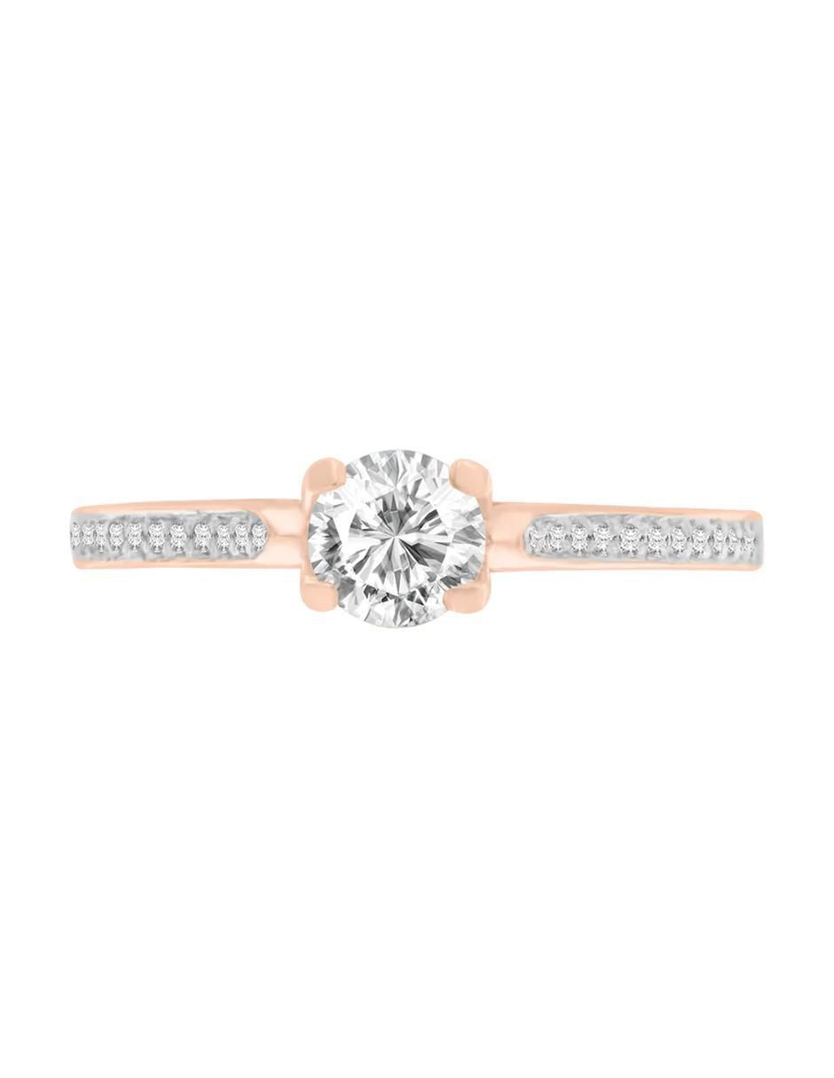 Rosa 3