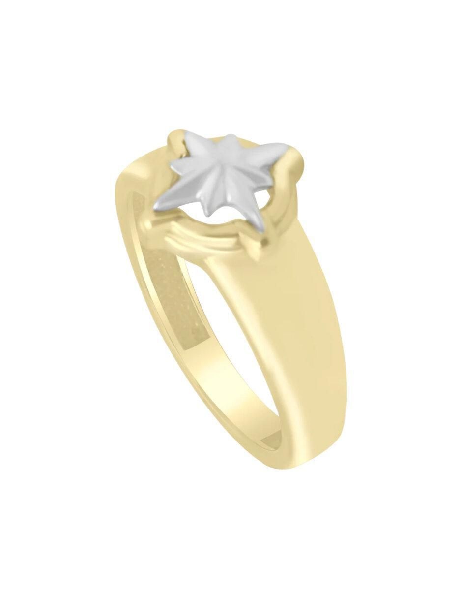 Anillo de estrella Rosa De Los Vientos 14 k de oro brillante
