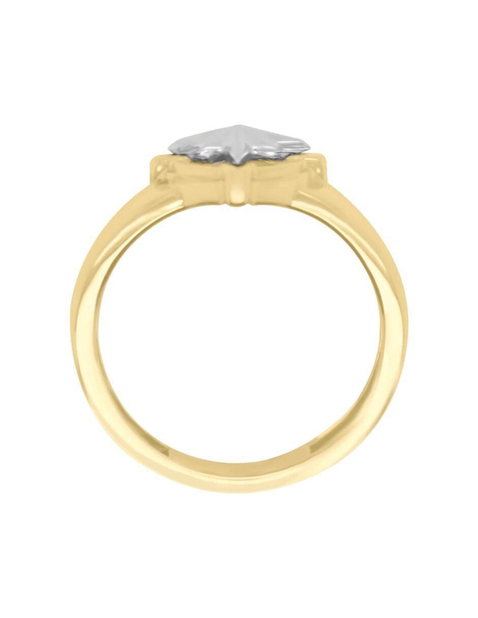 Anillo de estrella Rosa De Los Vientos 14 k de oro brillante
