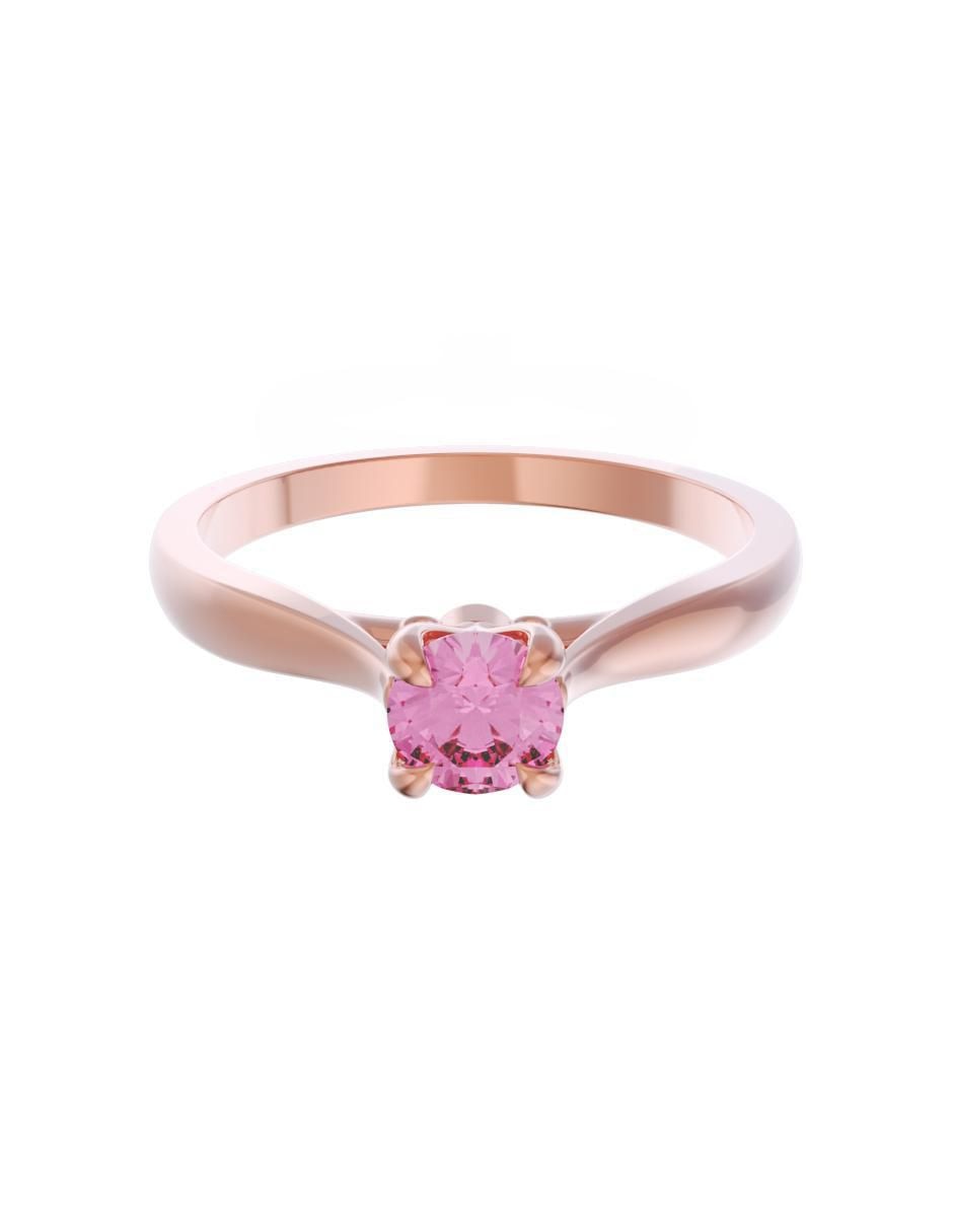 Rosa 3
