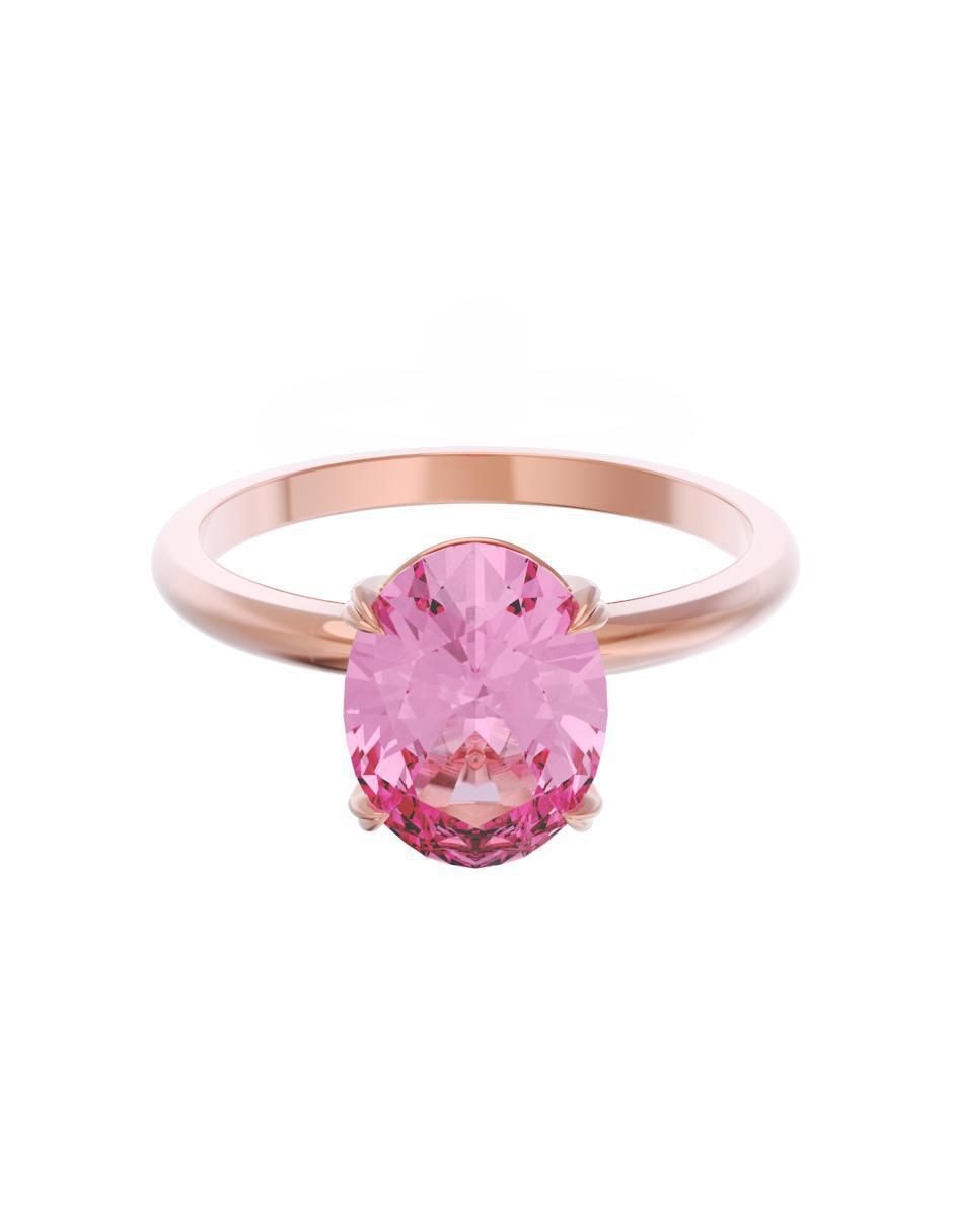 Rosa 3