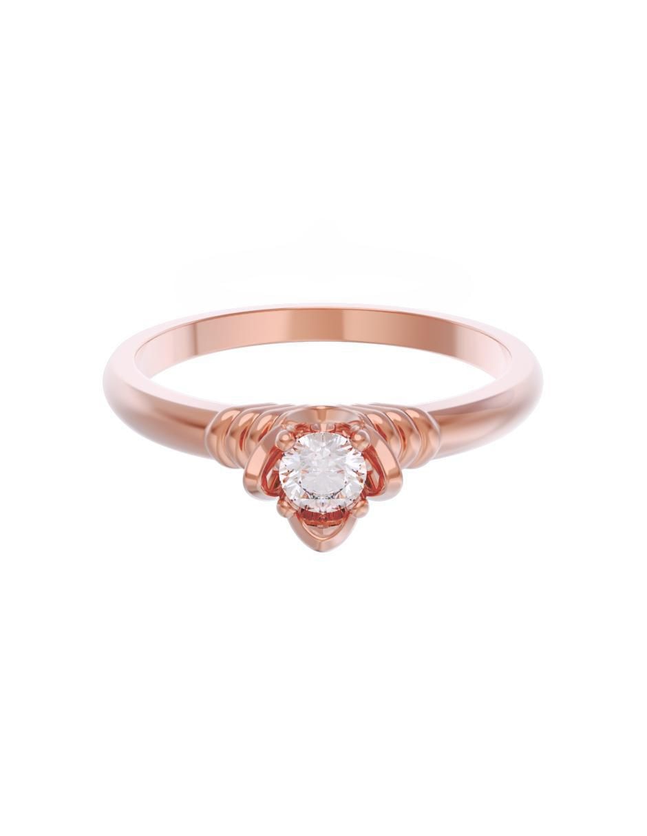 Rosa 3