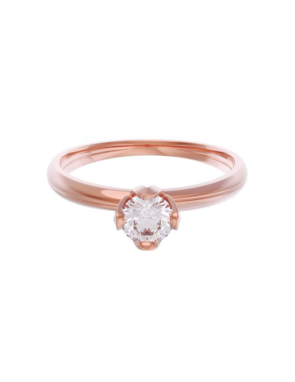 Rosa 3
