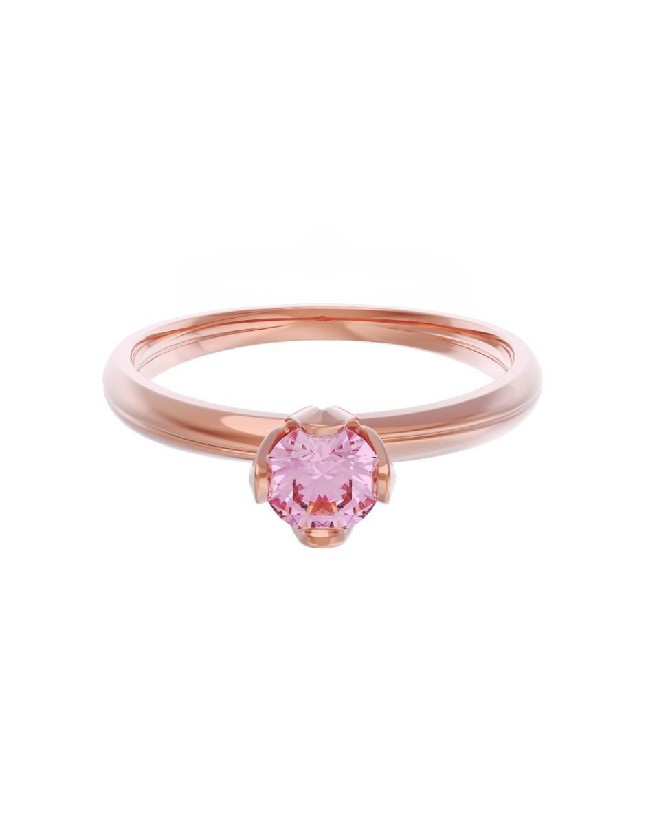 Rosa 3