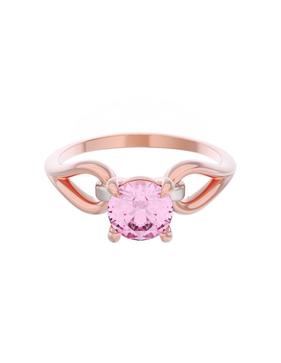 Rosa 3