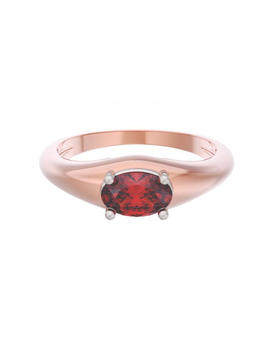 Rosa 3