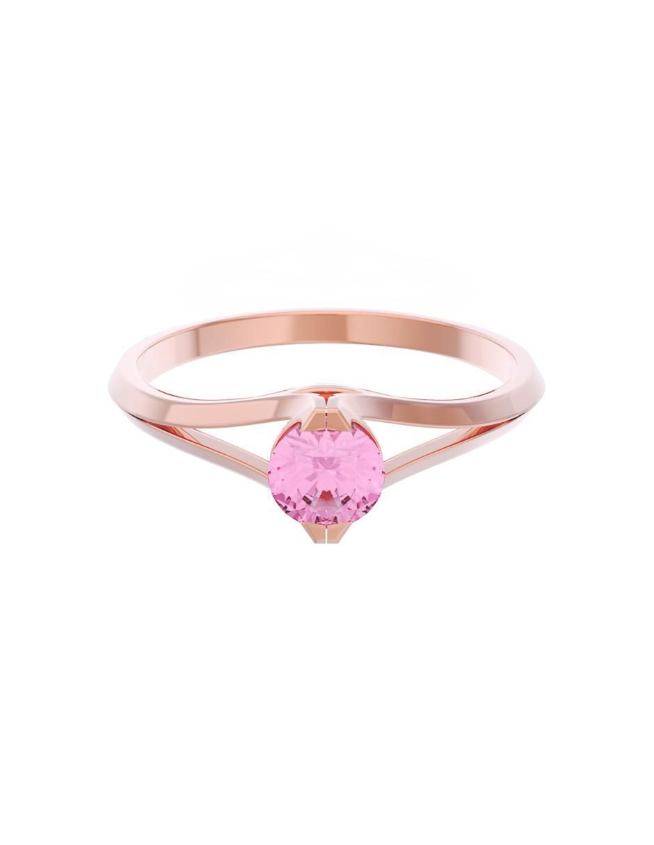 Rosa 3