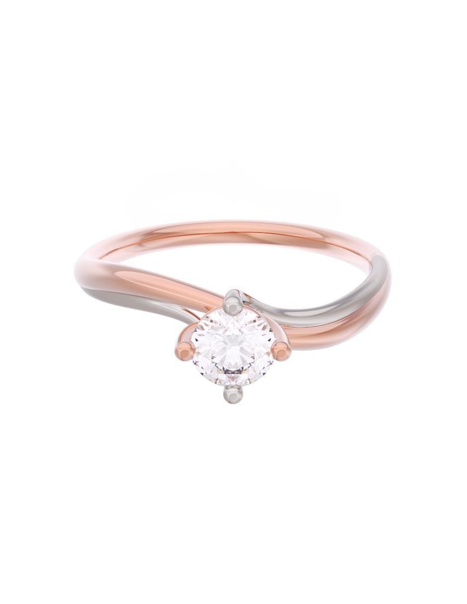 Rosa 3