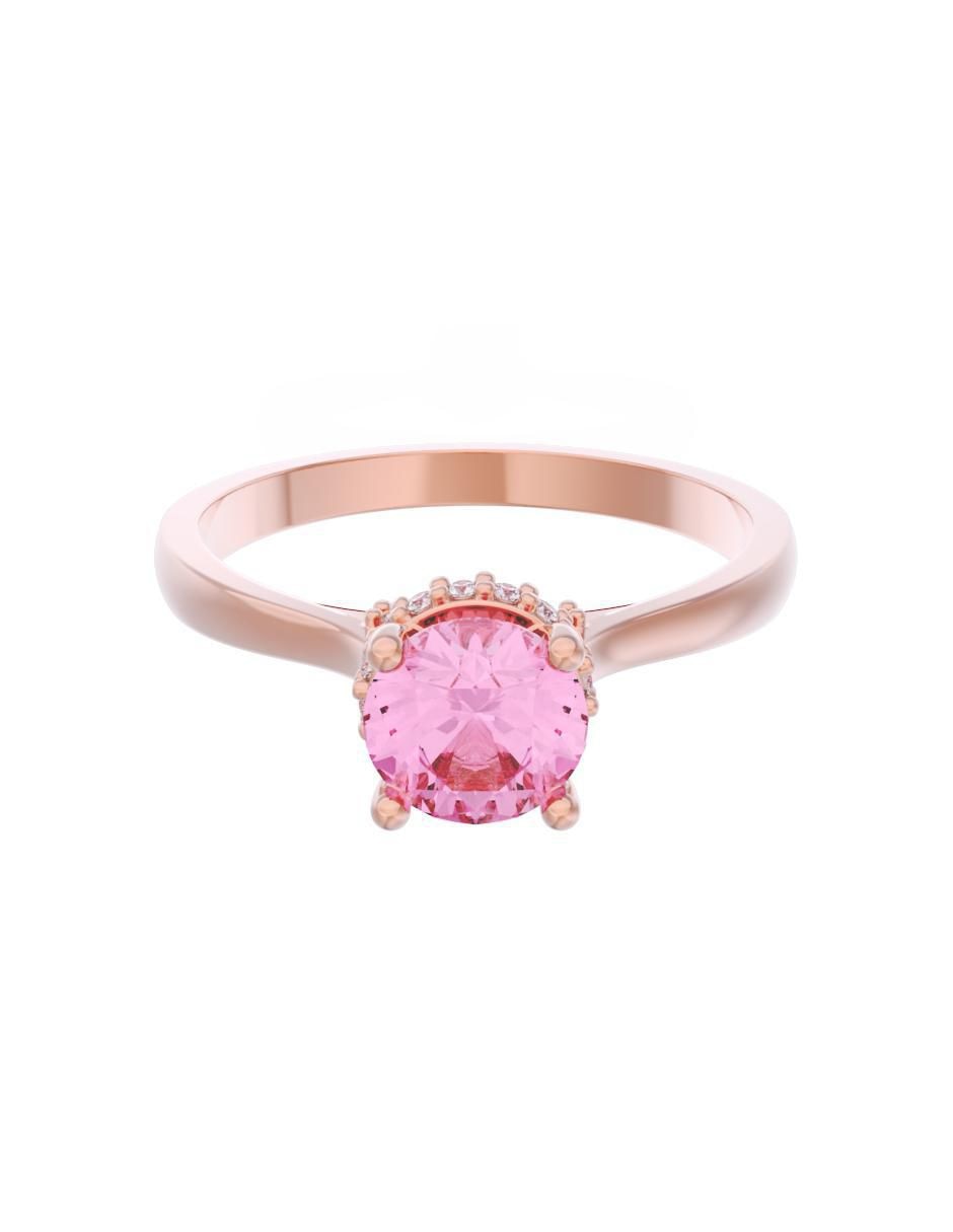 Rosa 3