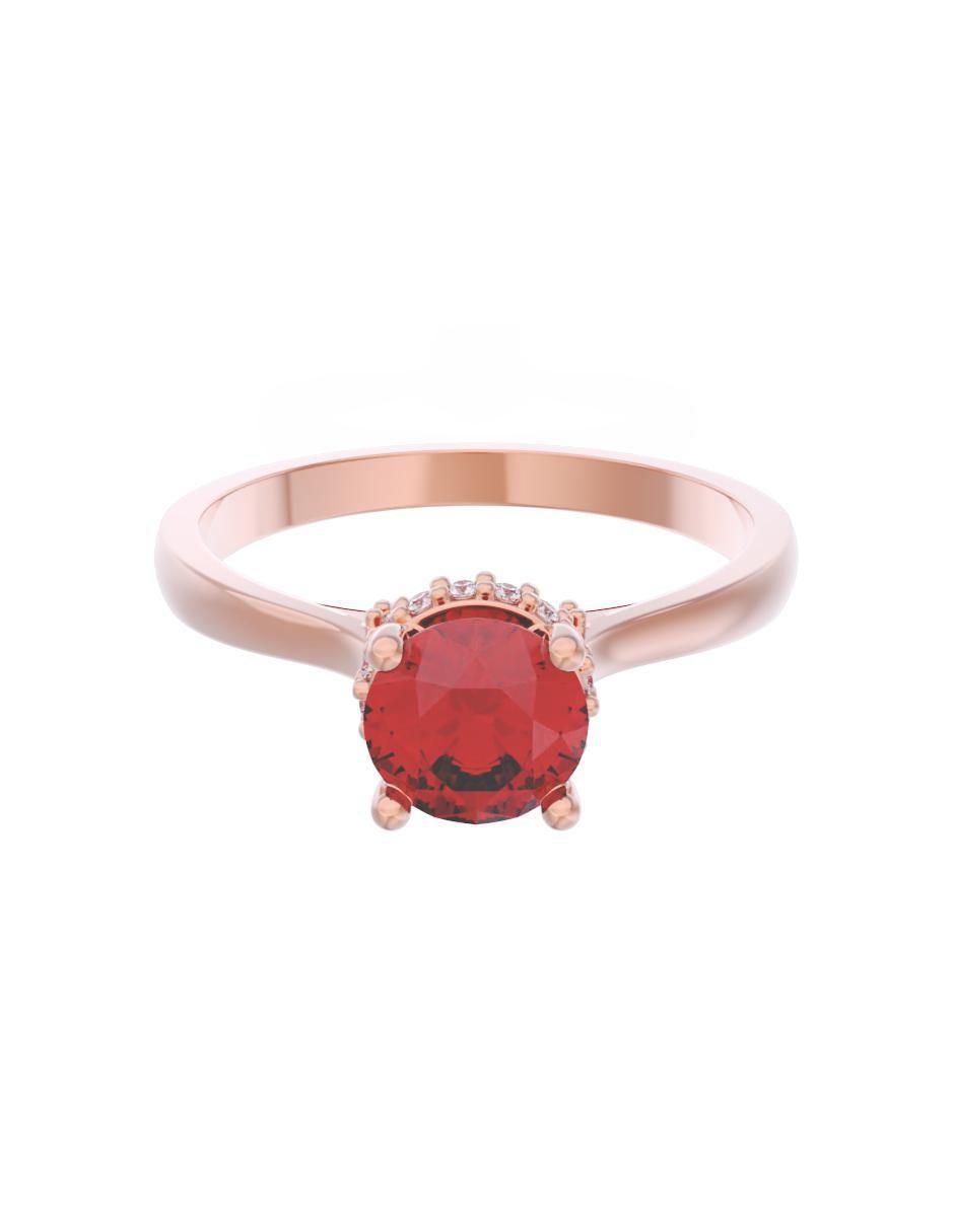 Rosa 3