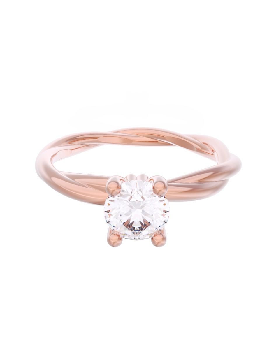 Rosa 3