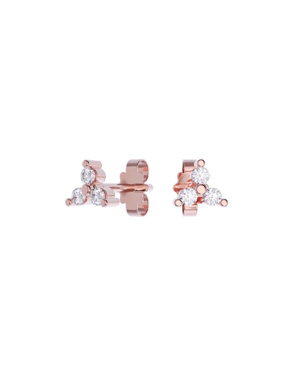 Rosa 3