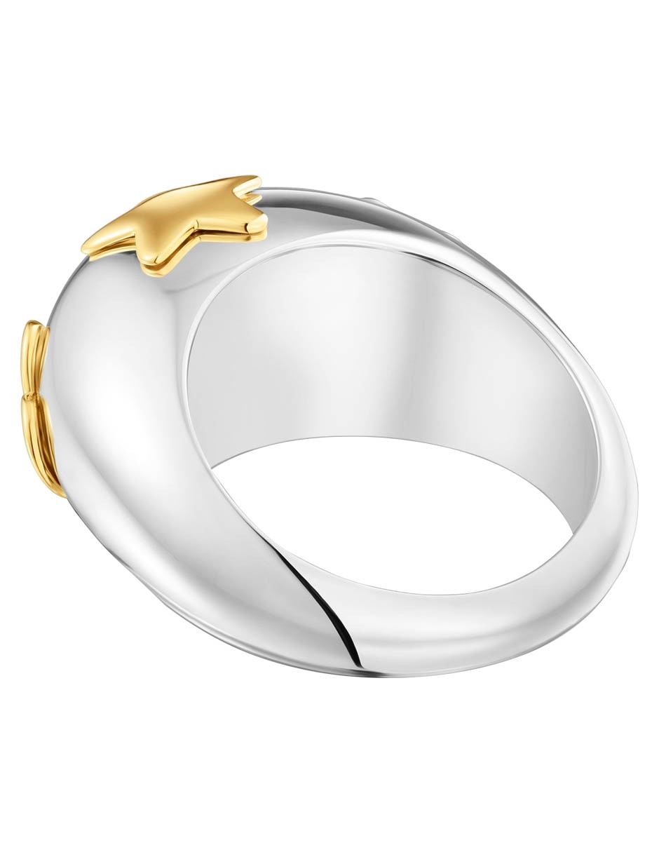 Anillo Warm de plata P 925 con acabado baño de oro