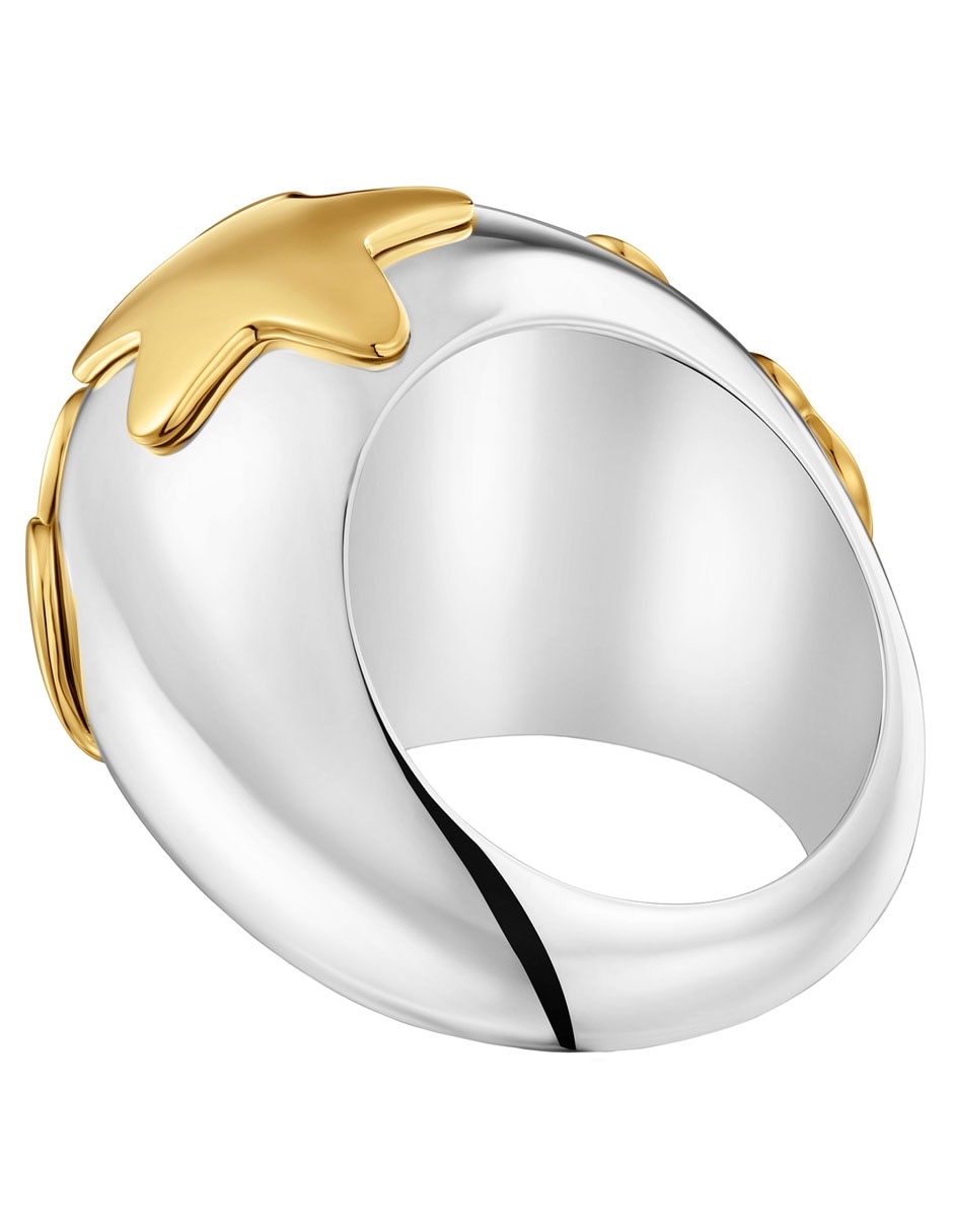 Anillo Warm de plata P 925 con acabado baño de oro
