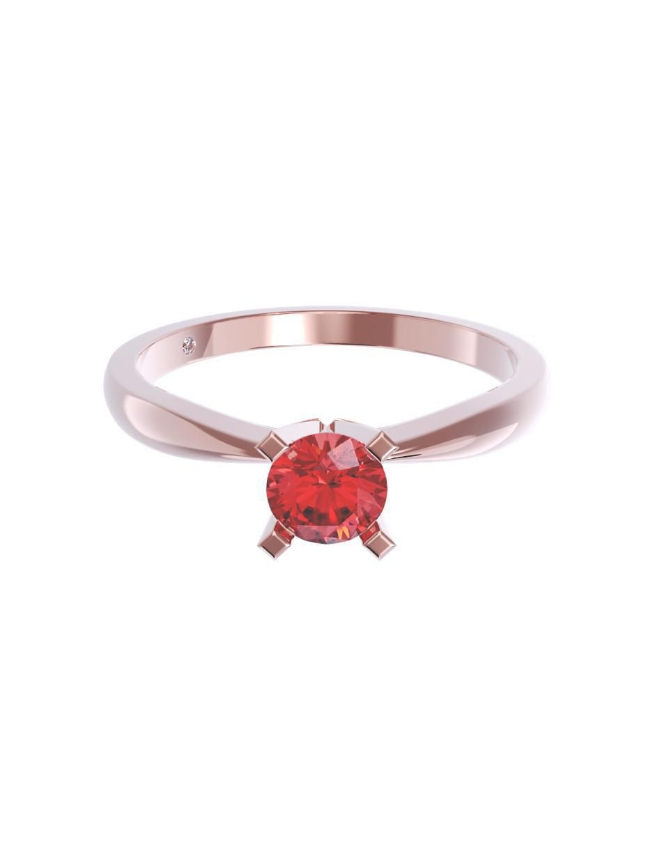 Rosa 3