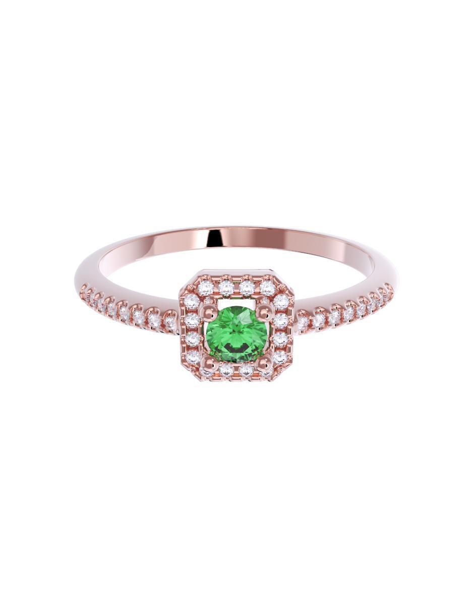 Rosa 3