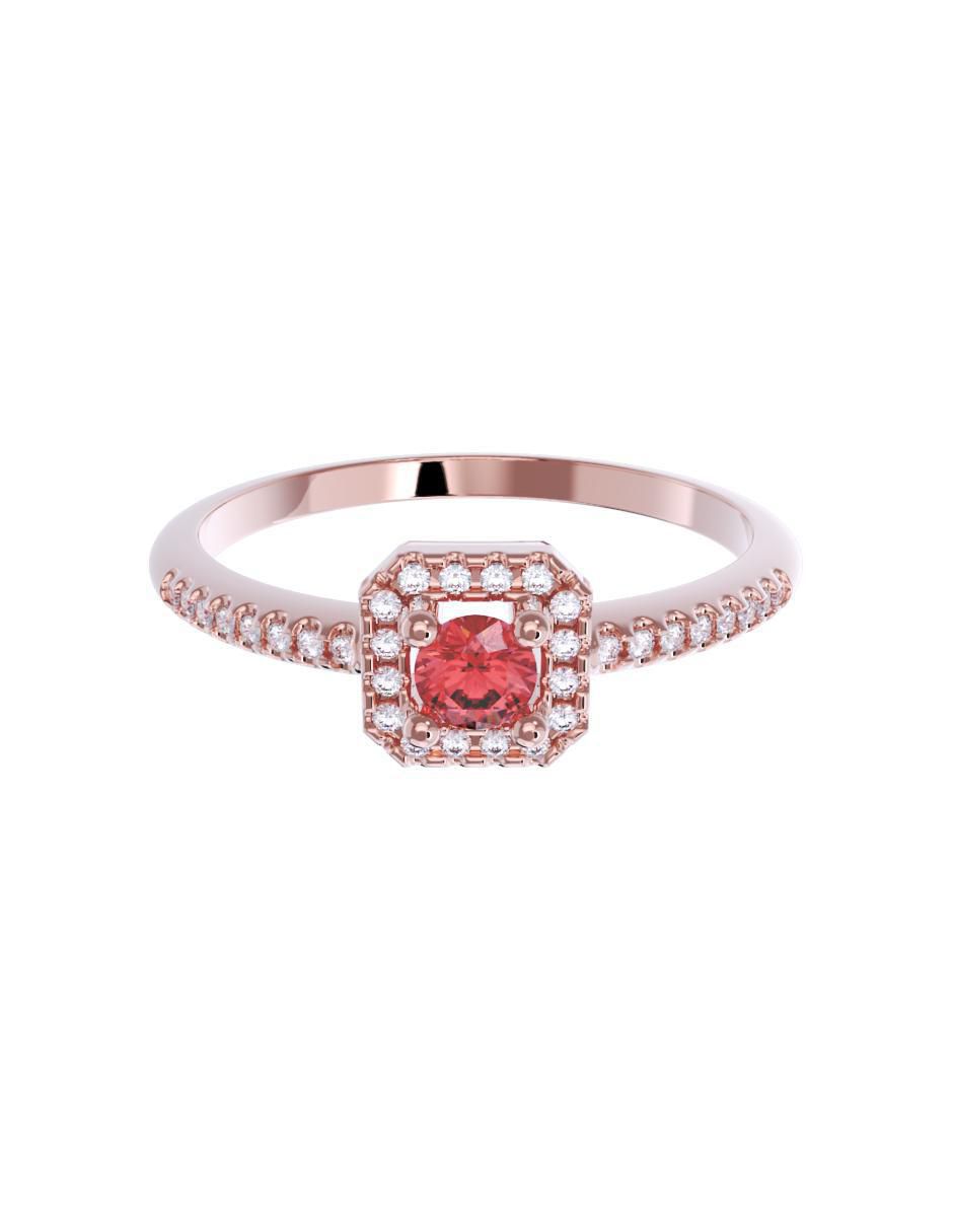 Rosa 3