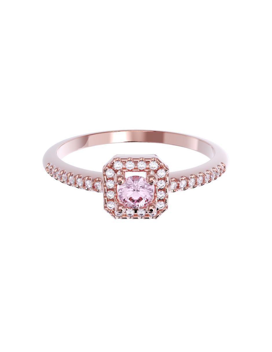 Rosa 3