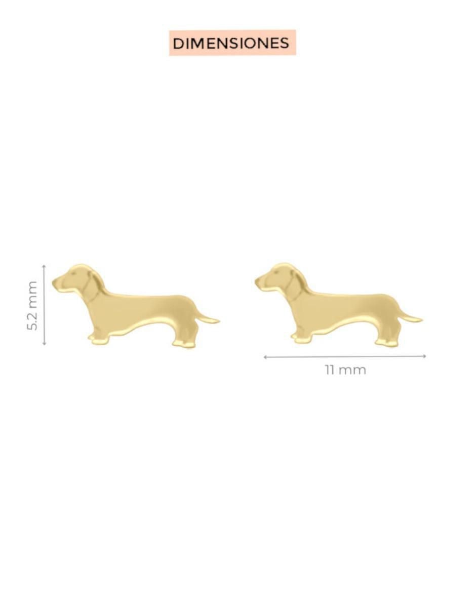 Aretes de perro de oro 14 K con acabado brillante 4