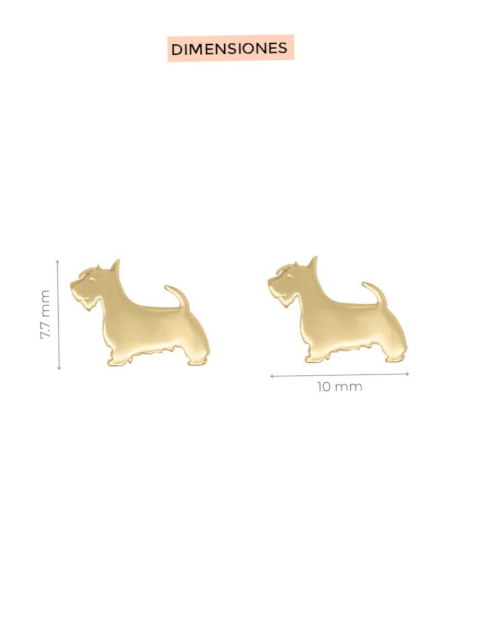 Aretes de perro de oro 14 K con acabado brillante 4