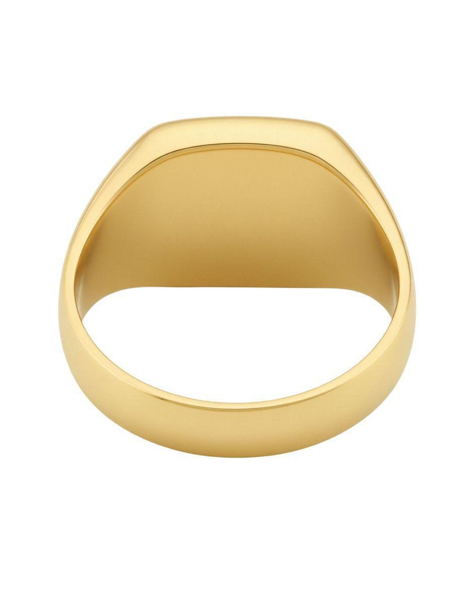 Anillo circular 10 k de oro ónix pulido