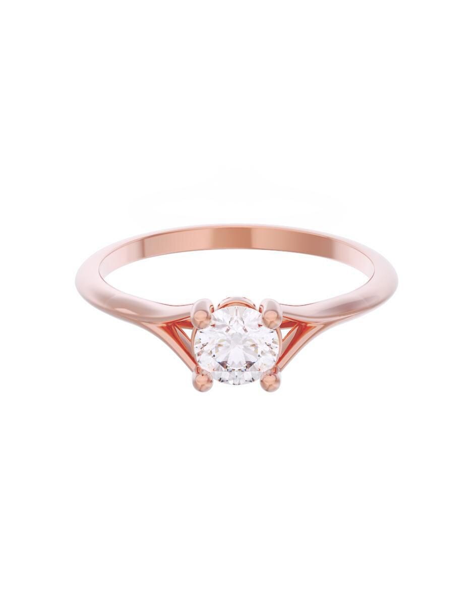 Rosa 3