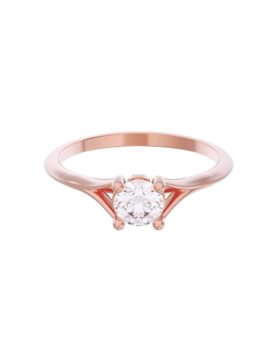 Rosa 3