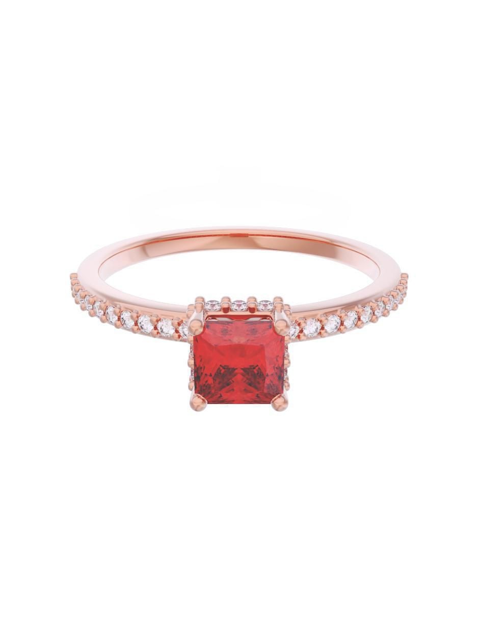 Rosa 3
