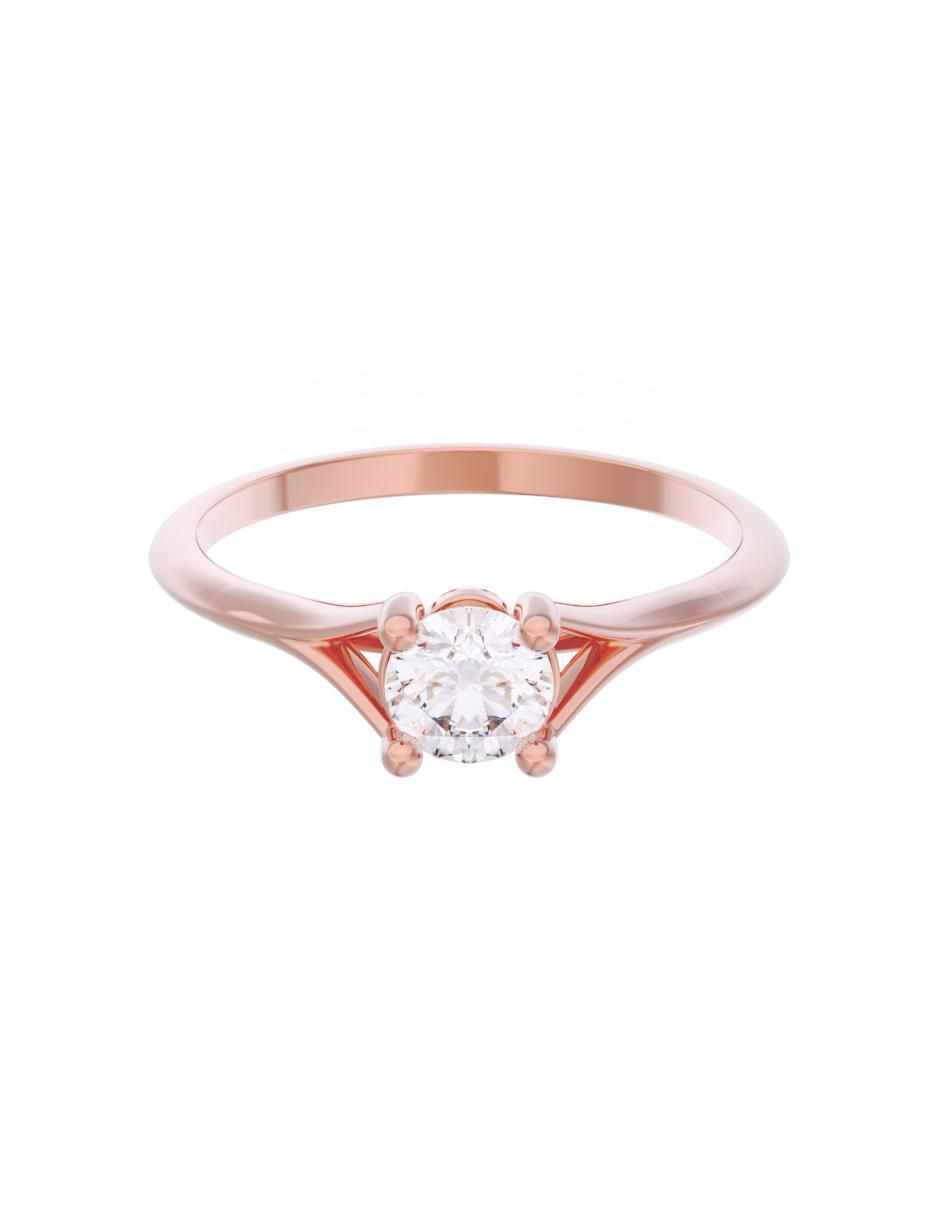 Rosa 3