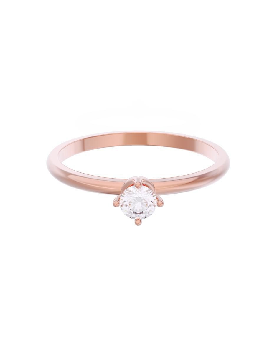 Rosa 3