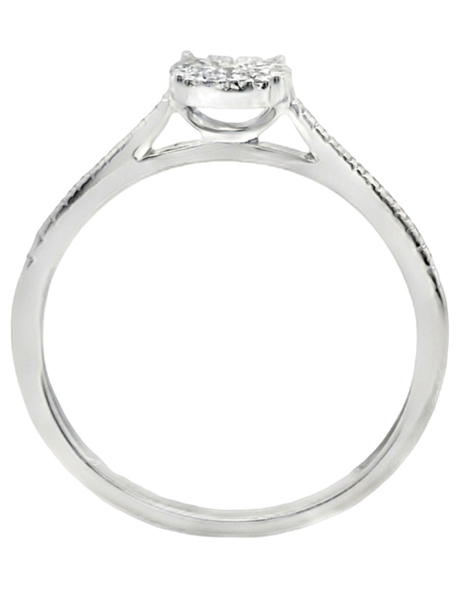 Anillo 2