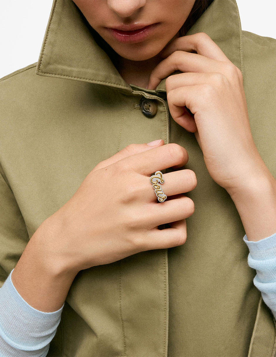 Anillo Logo Charming Steel brillante 5
