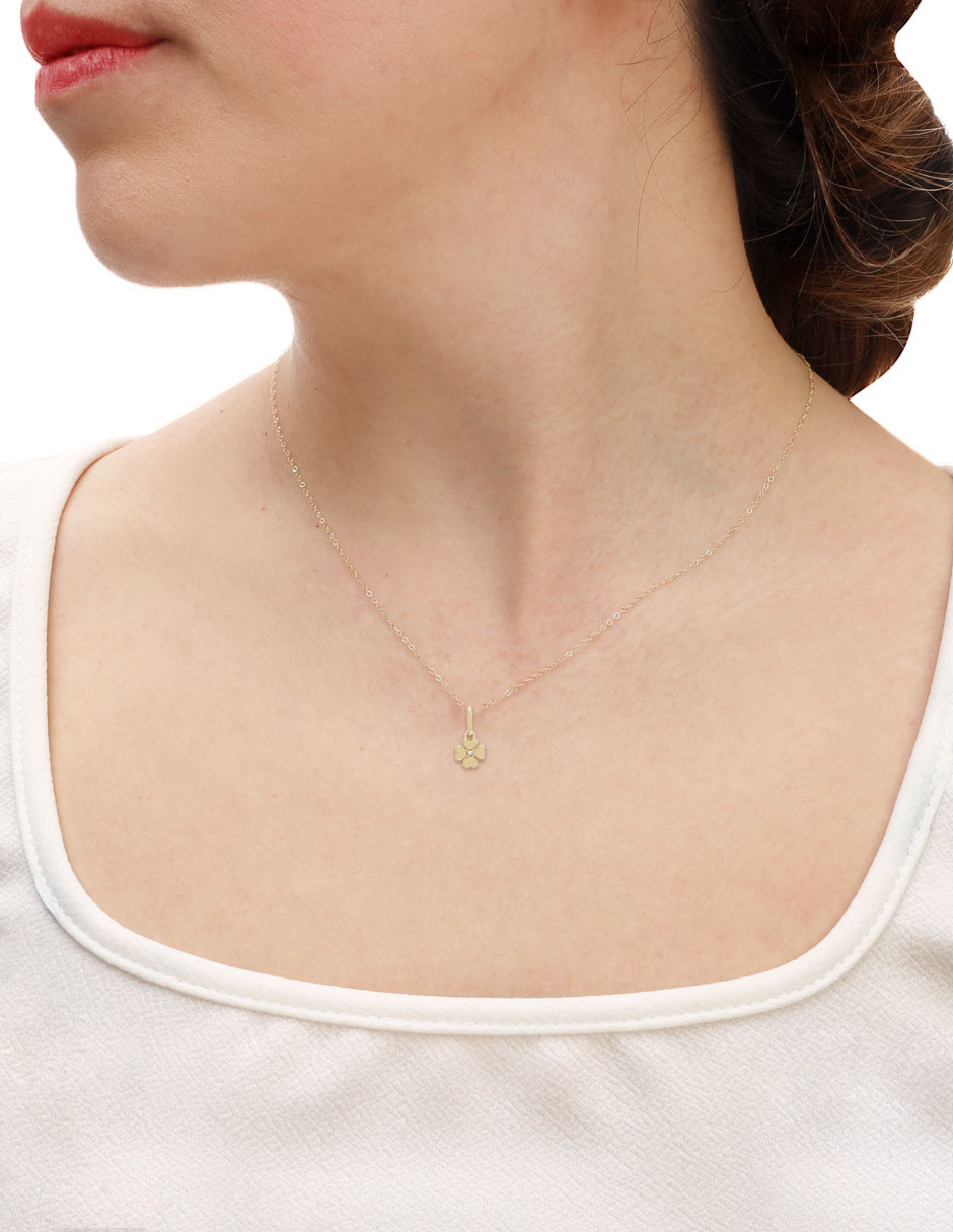 Dije de Trébol SIN FAMILIA No aplica de Oro 14 K 2