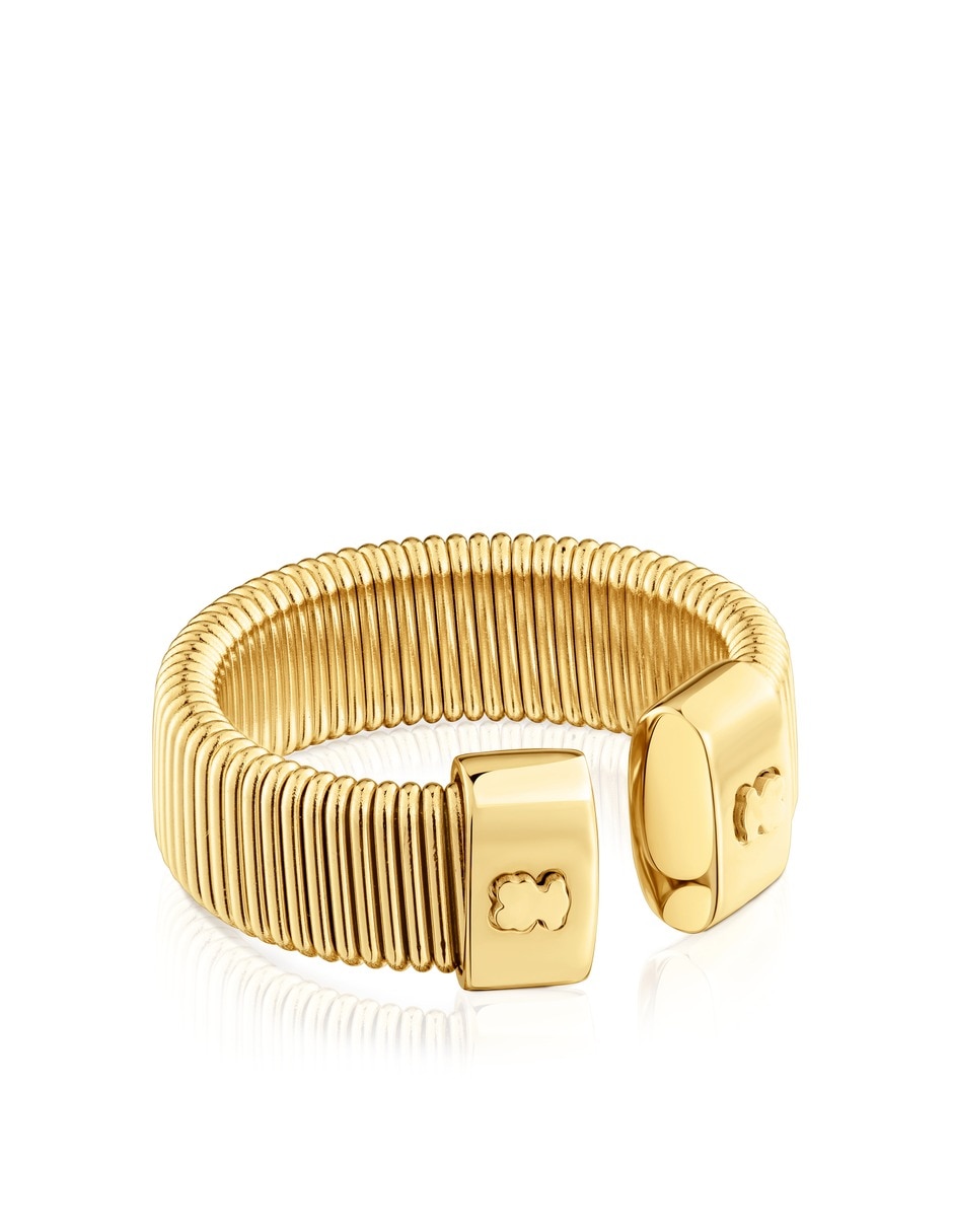 Anillo de oso 2
