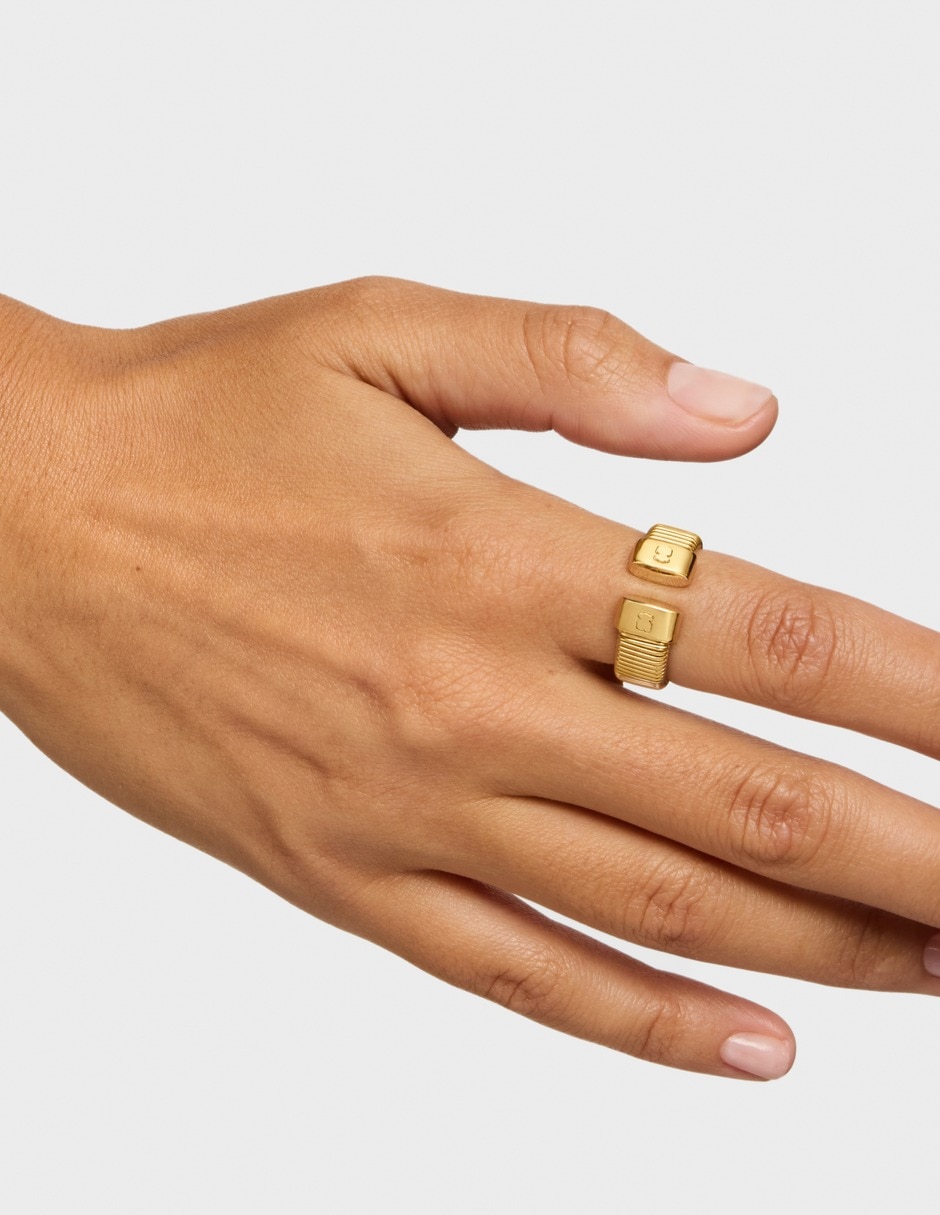Anillo de oso 3