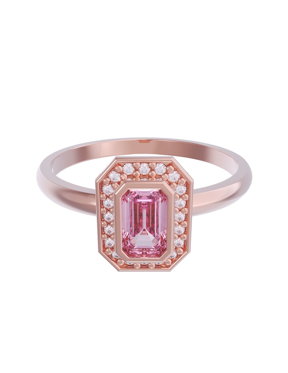 Rosa 2